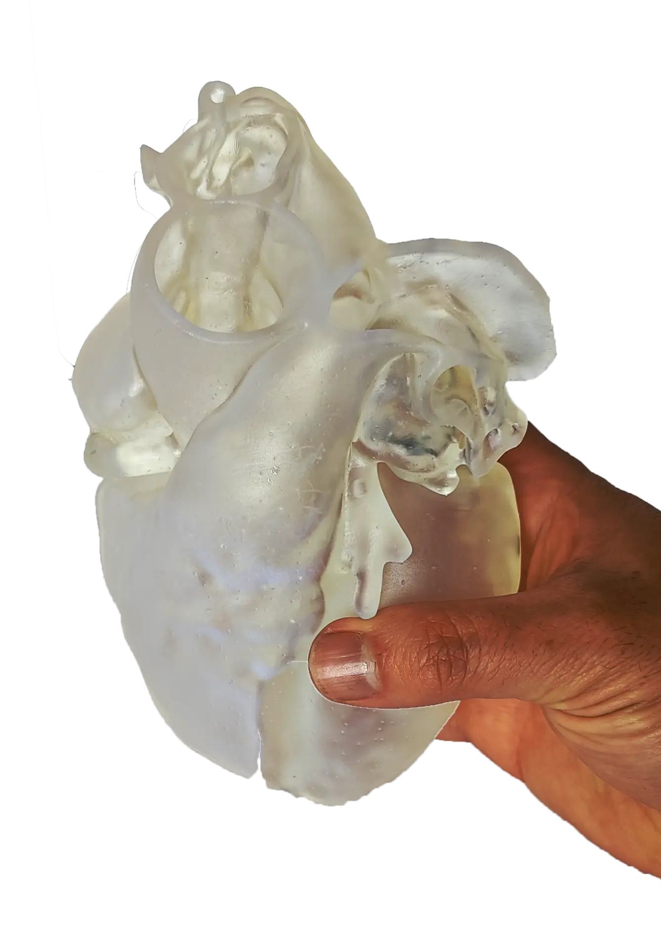 Biomodelo de corazón impreso en 3D